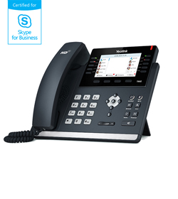 SIP-T46G<br>Skype for Business®版本